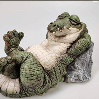 @sc_gator23