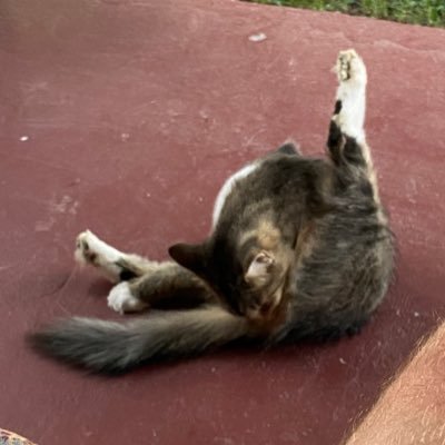 bush1048082's profile picture. Jesus Christ follower, shower thinker, antique EMS