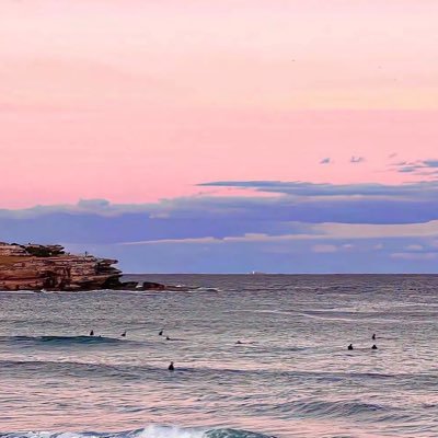 diypaiwq's profile picture. 