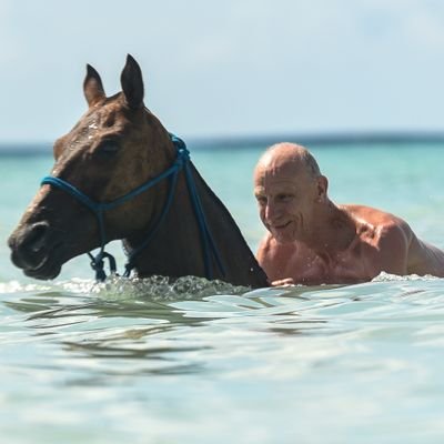 RoltAndrew's profile picture. 🏃‍♂️ 3x🇬🇧UK🥇AgeGroup champ@400h&3kS/C. 4:57mile@50 yrs old! 
Investigating what next after Au79Ag47 🐂📈
$AI $robotics $ssec $palladium $rareearth $uranium