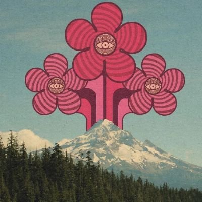 dawahaan's profile picture. The more I learned, the more the world opened like a secret door I never knew I had the key to.