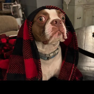 BettyB2597's profile picture. 