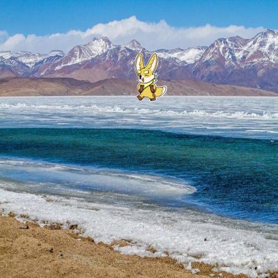 DanBurk42652580's profile picture. Sahara #0328853