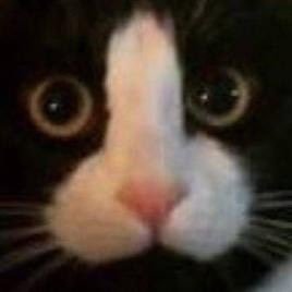 DicksSeeker's profile picture. 