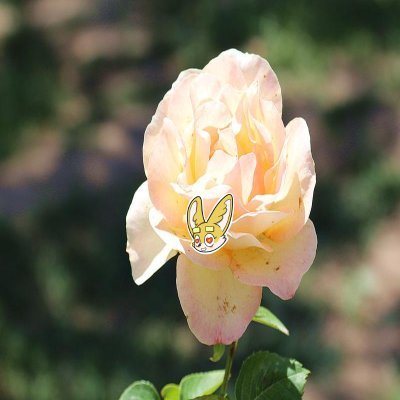 MichelleAn76082's profile picture. Sahara #0328866