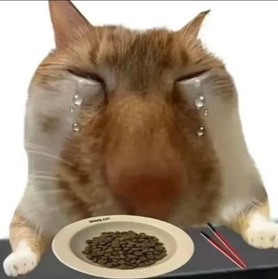 eupphonious's profile picture. isinya sambat merambat