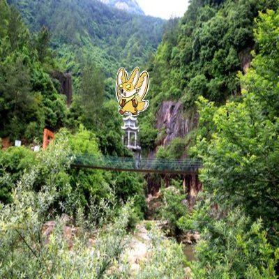 ShipleyDar43361's profile picture. Sahara #0328872