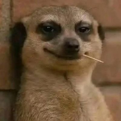 Born_T0WN's profile picture. none