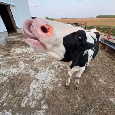 EGermsceid's profile picture. 