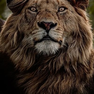 Do Not Try To Kill a Dead Spirit. Do Not Awaken It Either. God.