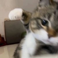 헤윰 (@missingbooth) 's Twitter Profile