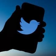 @Elon private service (@sjdjp174558) 's Twitter Profile