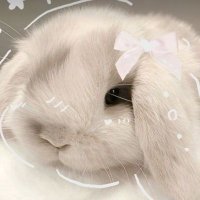 angel 🐇🪽 (@owosieee2) 's Twitter Profile