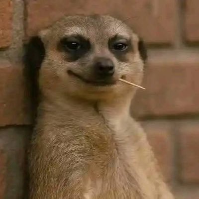 internet_mayor's profile picture. 