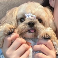 MMMM·🪵 (@laomer_506) 's Twitter Profile Photo