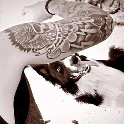 Pericoags's profile picture. Soci i abonat de @RCDespanyol 🤍💙💪🏼
y fan del @joventudbadalona