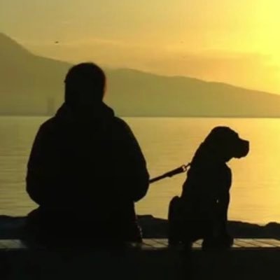 RonHevo's profile picture. 