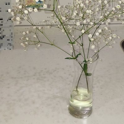 kani0348's profile picture. (2023.5.21 1:10)