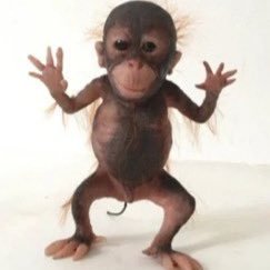 comoamopastel's profile picture. oi sou a rafa