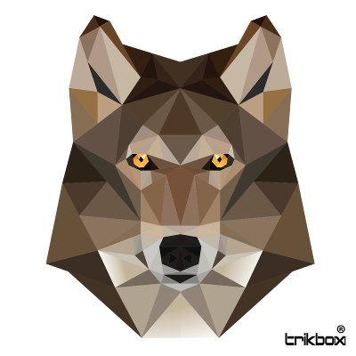 YouCompleteMelt's profile picture. 