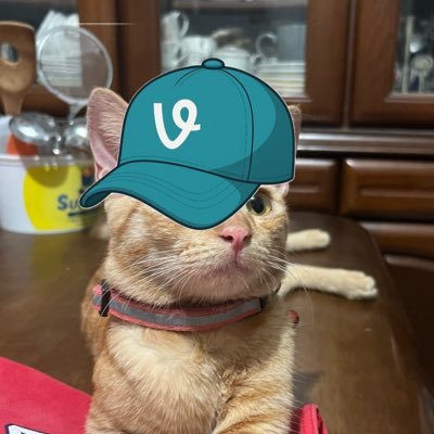 icedxyz's profile picture. “Some nights I wish I could go back in life Not to change shit, just to feel a couple things twice”