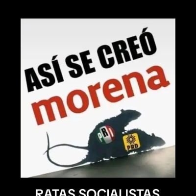 ES HORA DE SACAR A LAS RATAS SOCIALISTAS ASQUEROSAS DE MORENA DEL GOBIERNO! MEXICANO DESPIERTA Y UNETE PARA SACAR A ESTAS RATAS SOCIALISTAS ASQUEROSAS DE MORENA
