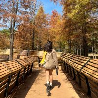 Claire (@feyzakeklik1) 's Twitter Profile