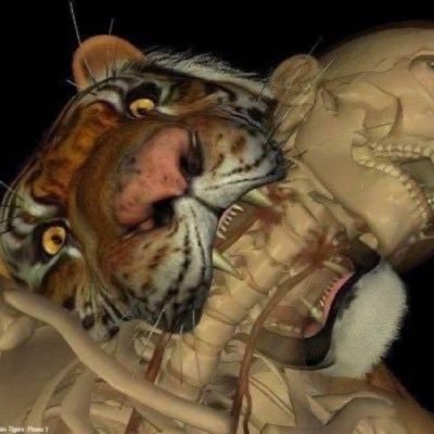 π ππ¨ππ¨π¦π πͺ’πππ» Profile