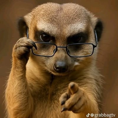 hami73710's profile picture. 🤔