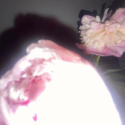 howitends_gg's profile picture. cw: 75 ugw: 45