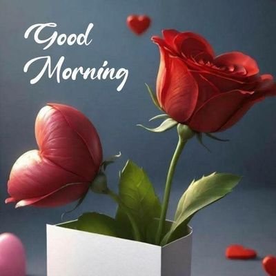 why_354's profile picture. . love humanity..news and media coverage