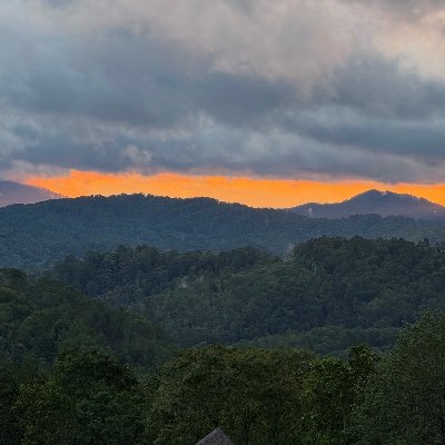 Mom, wife, cpa, curious about everything and proud to be from the south.
