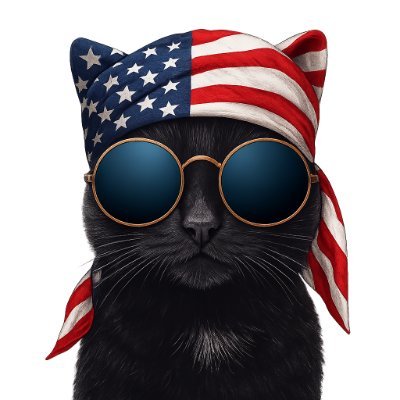 meme4USA's profile picture. A maker of memes and other stuff.