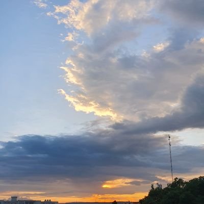 MohdAsad4481's profile picture. 