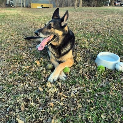 XAlgoHatesMe94's profile picture. 