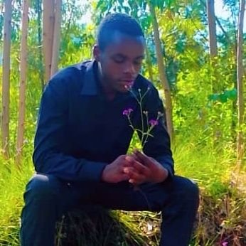 Bikorimana31568's profile picture. l am a teacher