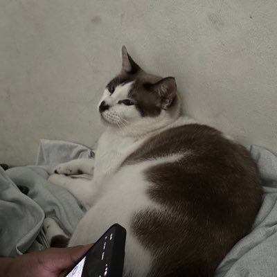 studywithniall's profile picture. 