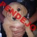 ugh (@reeddealer) Twitter profile photo ugh (@reeddealer) Twitter profile photo