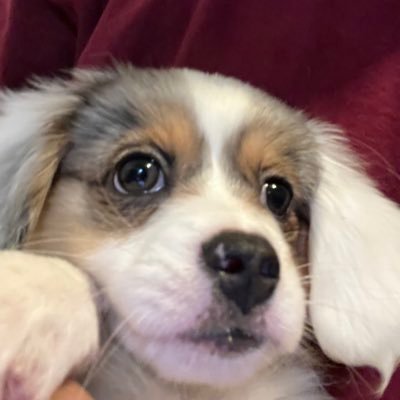 pookst3rrr's profile picture. 16 | 280 pr west