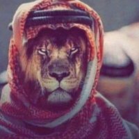 ياسر (@hret_5) 's Twitter Profile