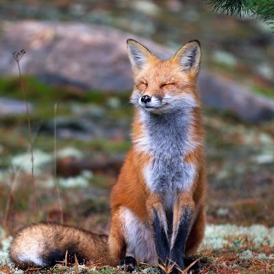 FourQunix's profile picture. 