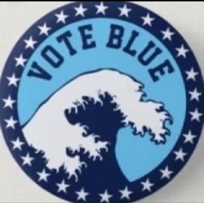 #VoteBlueToSaveDemocracy ⚖
#BidenHarris2024