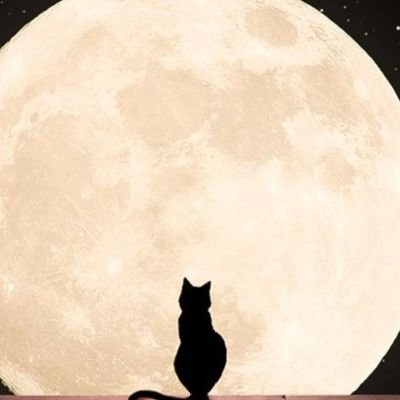 gege0031_'s profile picture. Believe in YourSELF