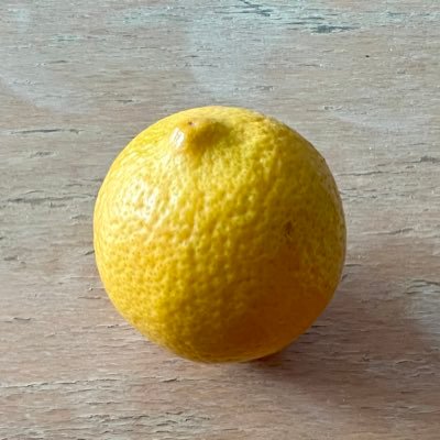 GuyAdoram's profile picture. 