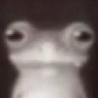 Nutty (@nuttyfr517) 's Twitter Profile