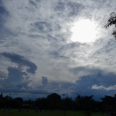 EvonMvsk's profile picture. Argentino y palestino
Pray for Gaza