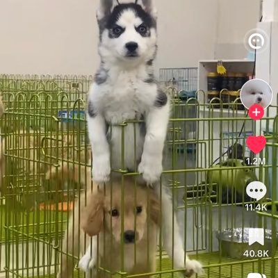 ssasakisen's profile picture. tell your baby that i’m your baby.