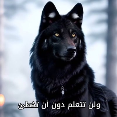lqlbqlbylq22131's profile picture. احب الحياه الكريمه