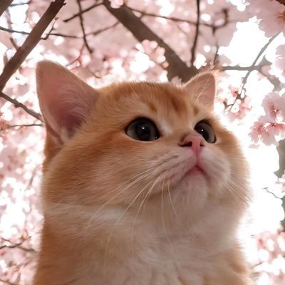 ▪️ she/her ▪️ 21 ▪️ десять причин ненавидеть, одна причина помнить