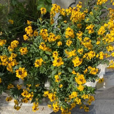 wsd_win's profile picture. 